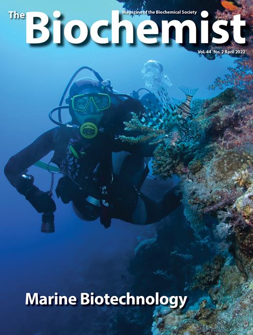 Marine biorefinery: an environmentally sustainable solution to turn ...