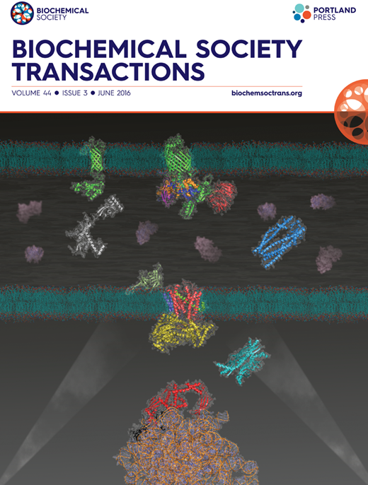 Synthetic promoter design for new microbial chassis | Biochemical ...