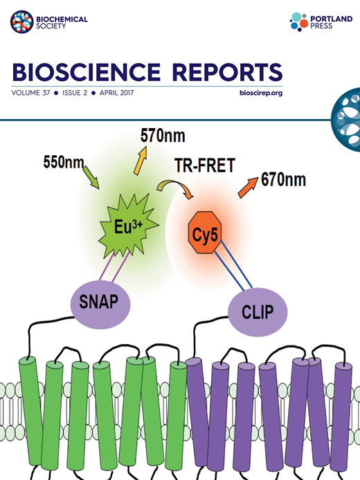 Pro-inflammatory cytokine-driven PI3K/Akt/Sp1 signalling and H2S ...