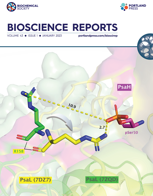 Formation Bioscience Extracellular matrix and synapse formation | Bioscience Reports ...