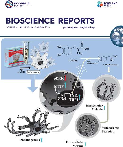 SARS-CoV-2 NSP14 MTase activity is critical for inducing canonical NF ...